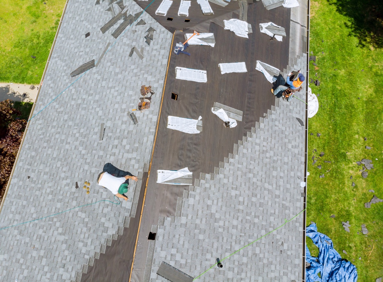 roofer working on replacement asphalt shingle roof 2023 11 27 05 10 54 utc Large