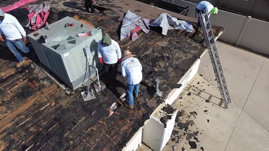 2025 06 23 08 52 04 936 (1) Large